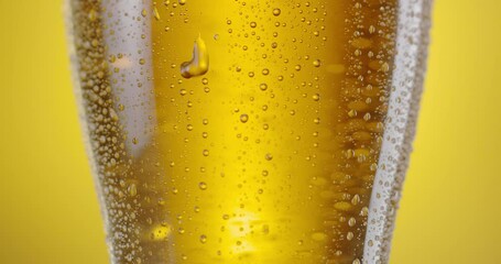 Wall Mural - Camera slowly rises up along a beer glass with light beer. There are a lot of condensation drops on the glass, beer foam on top. Yellow background. 