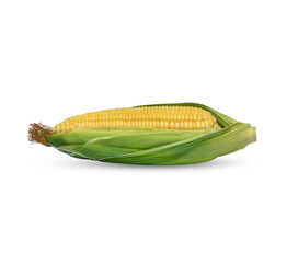 Corn isolated on white background