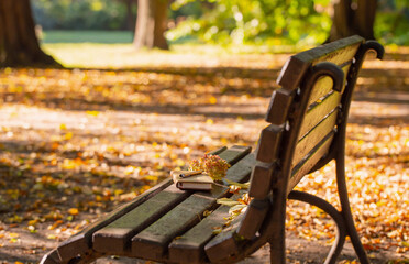 Wall Mural - leather notebook and pen on old wooden bench in autumn park