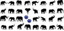 Elephant Vector Silhouette, Vector Illustration Of A Set Of Elephant Silhouette, Perfect For  Logos, Branding, Social Media, Website Designs, Educational Materials And Presentations.