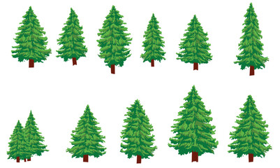 Set of fir trees isolated on white background. Vector illustration.
