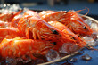 big plate of boiled shrimp close up