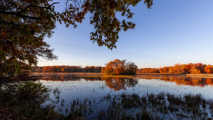 Wall Mural - Scenic landscape of Kensington metro park in Michigan during autumn time