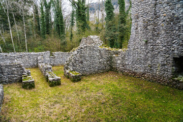 Poster - Weissenau Castle Ruins at Unterseen - Interlaken, Switzerland