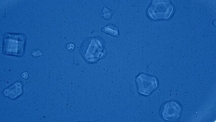 Sticker - growth of chemical crystals from a saturated timelapse solution.