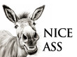 a funny donkey portrait 