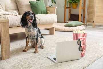 Canvas Print - Cute cocker spaniel dog with buckets of popcorn, laptop and 3D cinema glasses sitting on carpet in living room