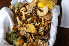 A Basket Full Of Various Foraged Wild Mushrooms