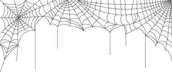 Wall Mural - Spider web vector illustration