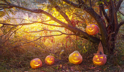 Wall Mural - Halloween pumpkins in night forest