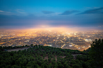 Wall Mural - Panoramic view of the orchard of Murcia, Spain, with the city as the protagonist at dawn from the Cresta del Gallo