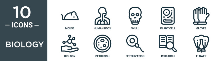 biology outline icon set includes thin line mouse, human body, skull, plant cell, gloves, biology, petri dish icons for report, presentation, diagram, web design