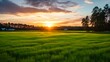 Beautiful Sunset on South Carolina Farm Land with Vast Green Field and Vista of York County in Spring and Summer