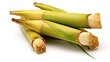 Bamboo shoots Bambusa vulgaris on White background, HD