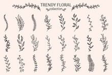 Flower Branch. Eucalyptus, Rosemary Herb, Lavender Floral Plants, Rustic Olive. Leaves And Berries. Frame And Border Decorative Elements For Design. Botanical Decor. Vector Linear Icons Set