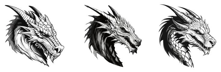 Wall Mural - set of black and dragon eagle head logo. isolated on a transparent background. eps 10