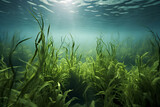 Fototapeta  - Underwater view of a group of seabed with green seagrass, Generative AI