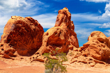 Poster - Valley of Fire State Park