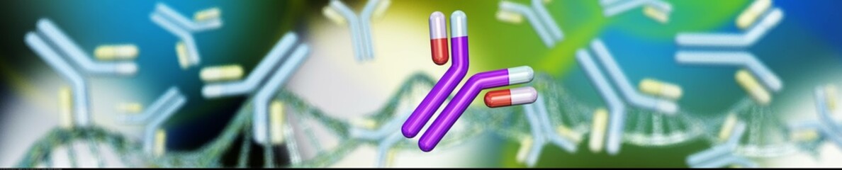 Poster - antibodies, immunoglobulins, the immune system, 3D rendering