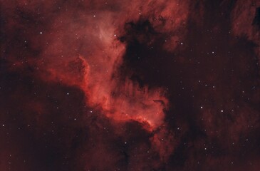 the cygnus wall