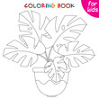 © Tatik22 - Houseplants. Monstera. Indoor exotic flowers in a flower pot. Isolated. Coloring book page