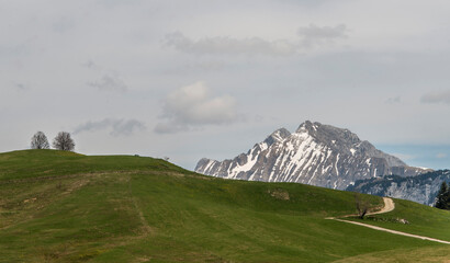 Poster - Paysage alpestre au plateau des Glières au Petit-Bornand-les-Glières, Haute-Savoie, France