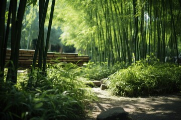Poster - A peaceful scene of a bench surrounded by lush bamboo trees. This serene image can be used to convey tranquility and nature's beauty.