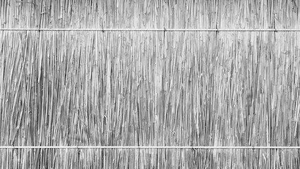Poster - Texture of dry reeds, fence or roof made of reeds. White Straw curtain