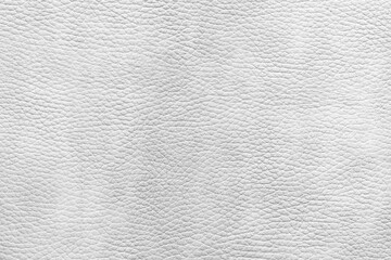 Poster - abstract leather texture. White leather natural texture background for template, web banner or page