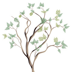 A vibrant green tree with lush leaves