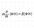 Schrodinger's equation. half dead and half alive cat. Vector illustration.