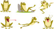 Frog. Cartoon cute toad in action poses exact active jumping lazy frog