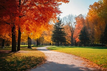 Autumnal Bliss: City Park Scenery