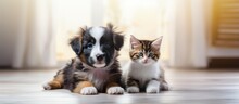A Tiny Puppy And A Furry Kitten Sit On The Floor In A Wide Horizontal Banner Image