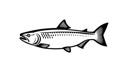 Wall Mural - fish salmon with good quality and good design