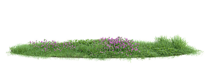 Wall Mural - Green grass on transparent background 3d rendering png.