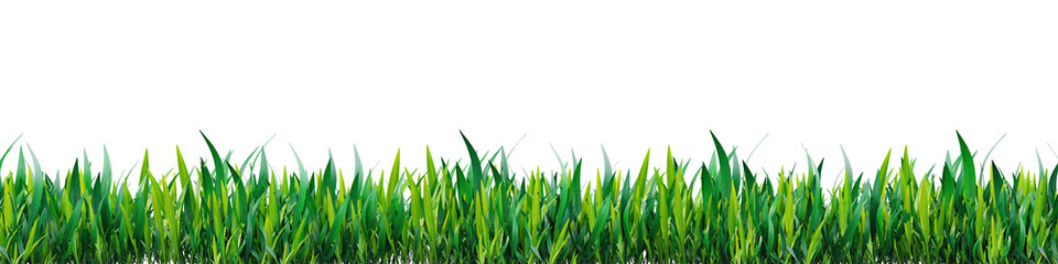 Wall Mural - Green grass on transparent background 3d rendering png.