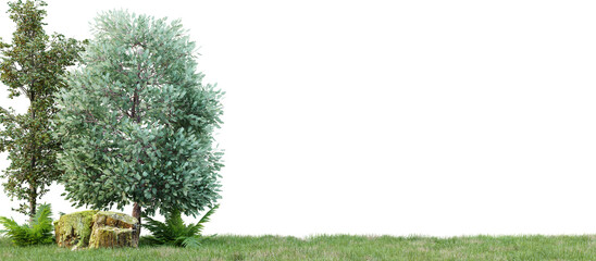 Poster - group of tree isolated on transparent background 3d rendering png.
