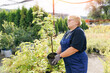 Portrait senior gardener woman working in garden farm plants. Concept online shop flowers for sales