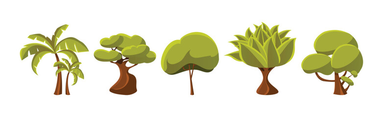 Deciduous Trees with Trunk and Lush Green Crown Vector Set.