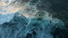 Aerial Top Down Shot Of Surfer Surfing On Wave Between Group Surfer In Indian Ocean During Sunset Time With Sun Rays. Slow Motion