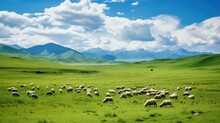Landscape Kazakh Nomadic Pastures Illustration Summer Grass, Tourism Pasture, Stan Yurt Landscape Kazakh Nomadic Pastures