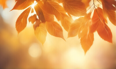 Aufkleber - Abstract autumn foliage bokeh backdrop