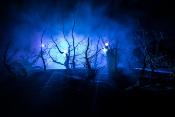 Wall Mural - spooky dark landscape showing silhouettes of trees in the swamp on misty night.