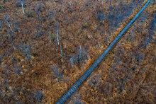 Austria, Upper Austria, Drone View Of Boardwalk In Ibmer Moor Reserve