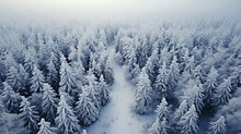 Drone Photo, Top View Of Snow Covered Evergreen Trees After A Winter Blizzard - Generative AI
