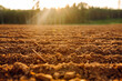 Rural landscape. Close-up of black soil prepared before sowing plants, vegetables, seed in sunset light. Agriculture concept.
