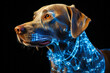 © XaMaps - Innovative holographic display of canine joint anatomy in a modern lit hospital setting