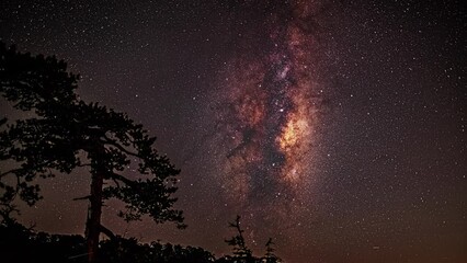Poster - milky way moving through the night sky and trees in the background