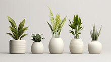 Lants In Ceramic Pots Isolated On White Background